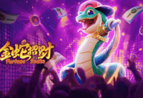 华体app官方下载入口2024最新版